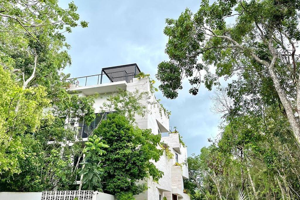 The Jungle Experience Studio 525 Apartment